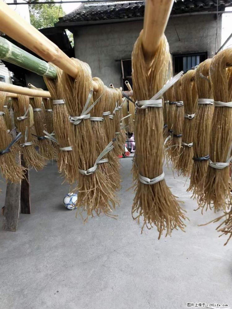 【灌阳正宗红薯粉】美女家里自己做的，干净卫生，假一赔十，价格合理，抢购电话：13737312895 - 美食天地 - 新余生活社区 - 新余28生活网 xinyu.28life.net