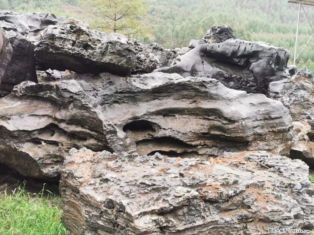 风景石、假山石大量有货，有需要的欢迎联系 - 新手上路 - 新余生活社区 - 新余28生活网 xinyu.28life.net