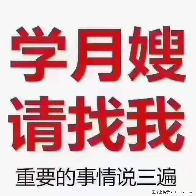 为什么要学习月嫂，育婴师？ - 其他广告 - 广告专区 - 新余分类信息 - 新余28生活网 xinyu.28life.net