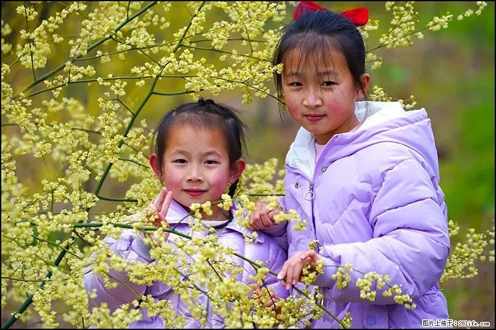 【春天，广西桂林灌阳县向您发出邀请！】米珠山前有片山苍子花在飘香 - 游山玩水 - 新余生活社区 - 新余28生活网 xinyu.28life.net