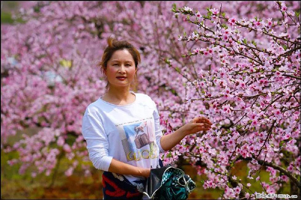 【春天，广西桂林灌阳县向您发出邀请！】官庄村有个醉美的桃花园 - 游山玩水 - 新余生活社区 - 新余28生活网 xinyu.28life.net