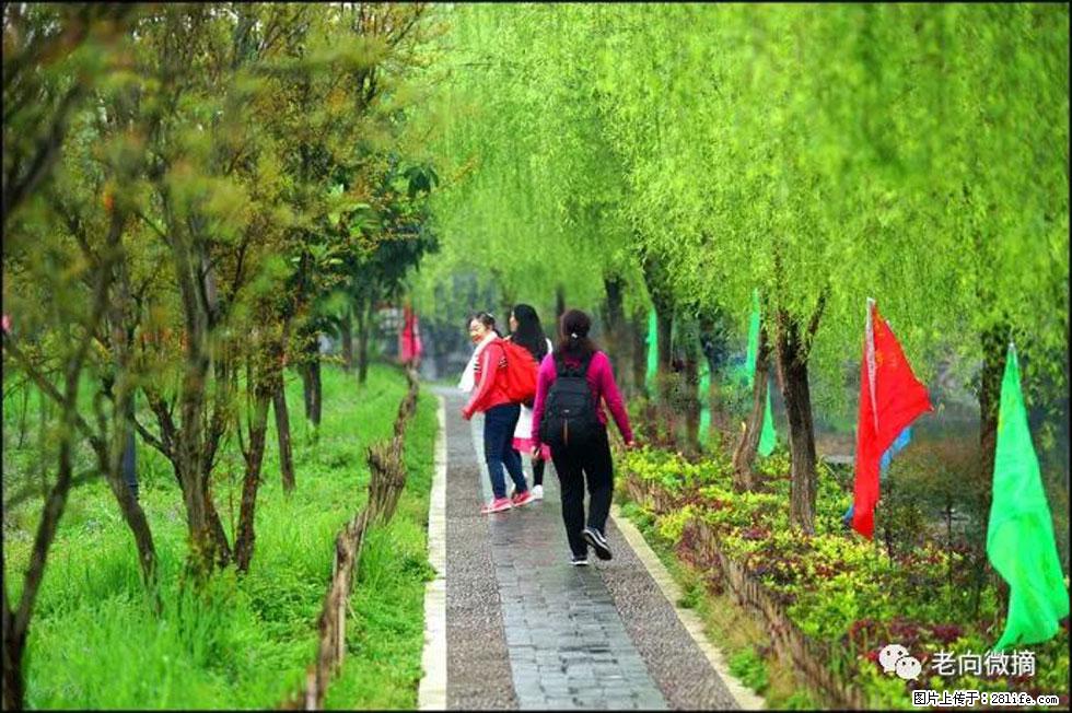 【春天，广西桂林灌阳县向您发出邀请！】江口老街又逢春 - 游山玩水 - 新余生活社区 - 新余28生活网 xinyu.28life.net
