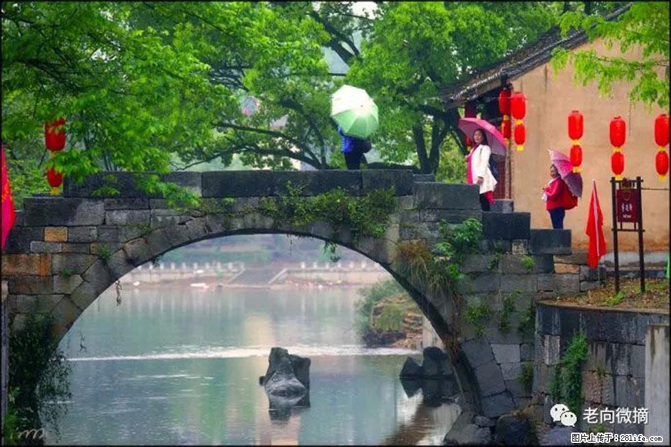 【春天，广西桂林灌阳县向您发出邀请！】江口老街又逢春 - 游山玩水 - 新余生活社区 - 新余28生活网 xinyu.28life.net