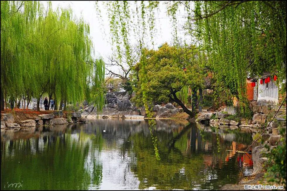 【春天，广西桂林灌阳县向您发出邀请！】江口老街又逢春 - 游山玩水 - 新余生活社区 - 新余28生活网 xinyu.28life.net
