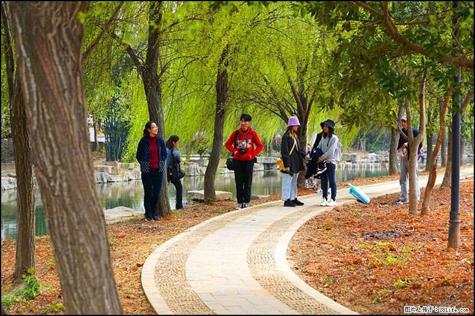 【春天，广西桂林灌阳县向您发出邀请！】江口老街又逢春 - 游山玩水 - 新余生活社区 - 新余28生活网 xinyu.28life.net