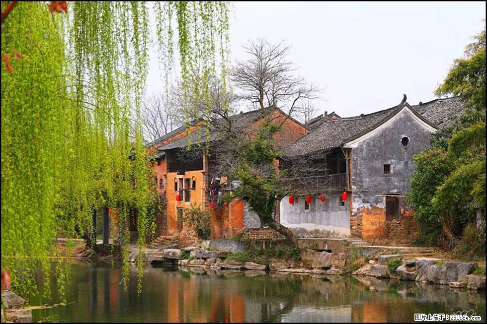 【春天，广西桂林灌阳县向您发出邀请！】江口老街又逢春 - 游山玩水 - 新余生活社区 - 新余28生活网 xinyu.28life.net