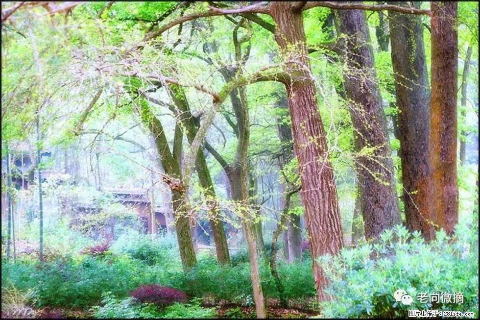 【春天，广西桂林灌阳县向您发出邀请！】在小龙村与春天约会 - 游山玩水 - 新余生活社区 - 新余28生活网 xinyu.28life.net