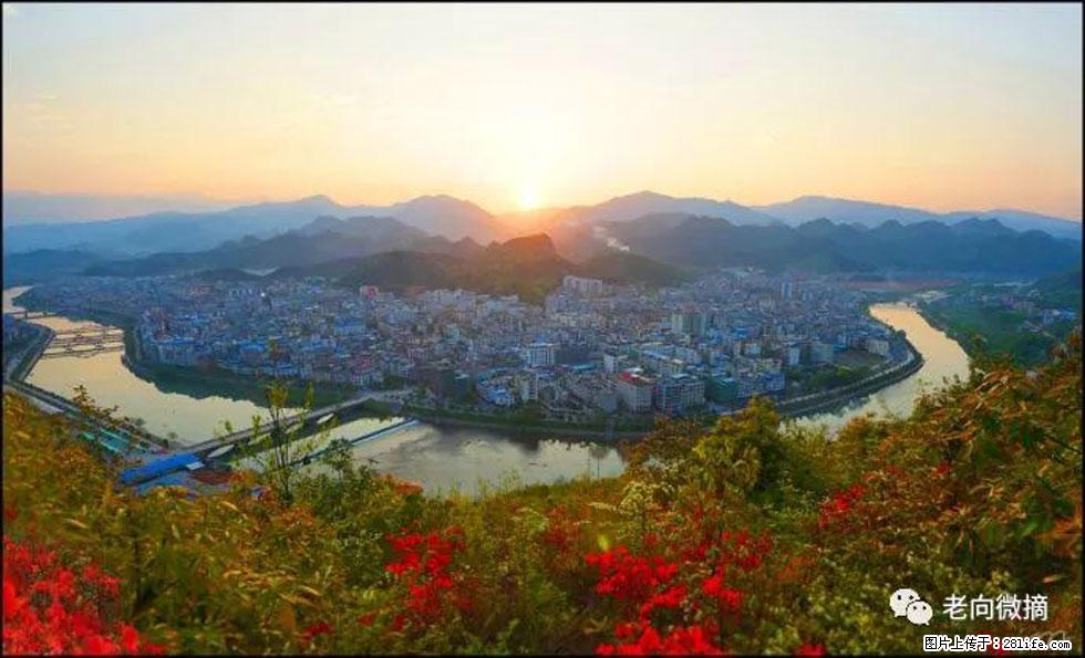 【春天，广西桂林灌阳县向您发出邀请！】登麒麟山，相约映山红 - 游山玩水 - 新余生活社区 - 新余28生活网 xinyu.28life.net
