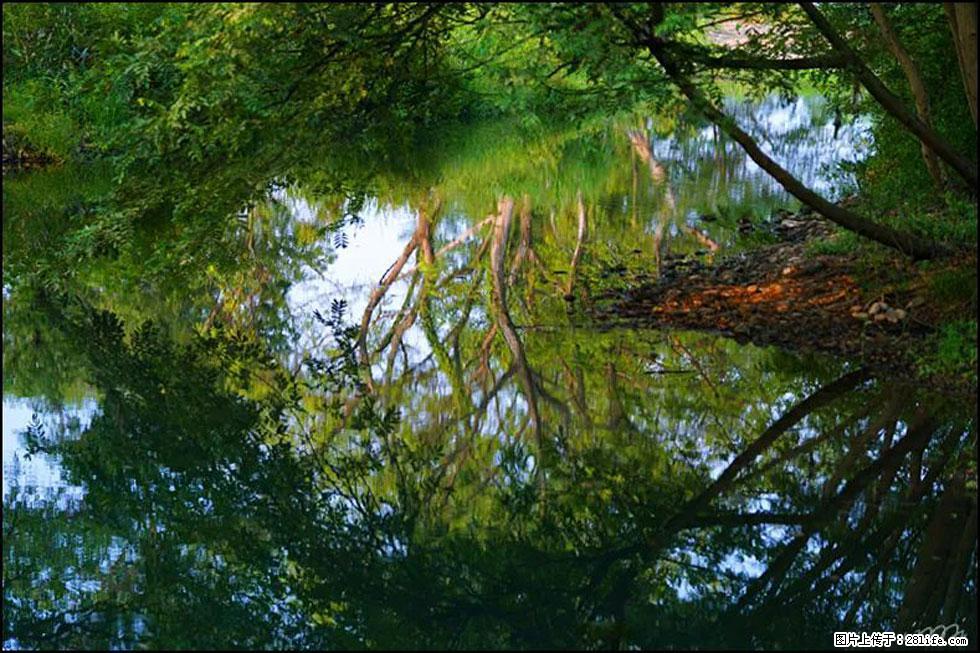 【春天，广西桂林灌阳县向您发出邀请！】熊家寨湿地公园 - 游山玩水 - 新余生活社区 - 新余28生活网 xinyu.28life.net