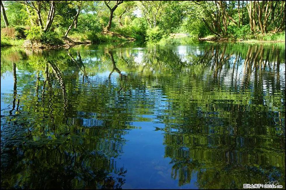 【春天，广西桂林灌阳县向您发出邀请！】熊家寨湿地公园 - 游山玩水 - 新余生活社区 - 新余28生活网 xinyu.28life.net