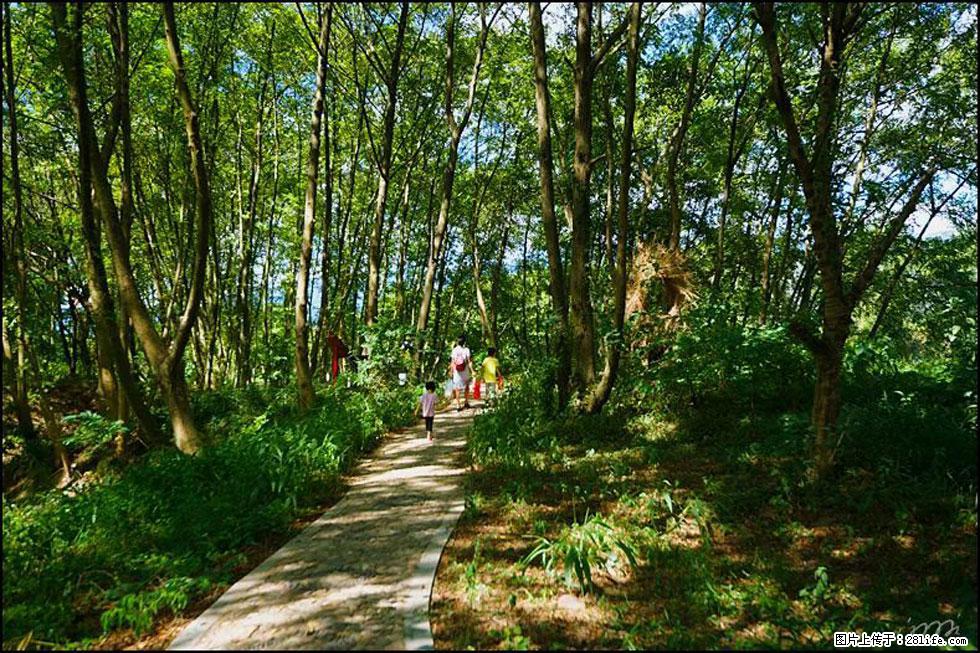 【春天，广西桂林灌阳县向您发出邀请！】熊家寨湿地公园 - 游山玩水 - 新余生活社区 - 新余28生活网 xinyu.28life.net