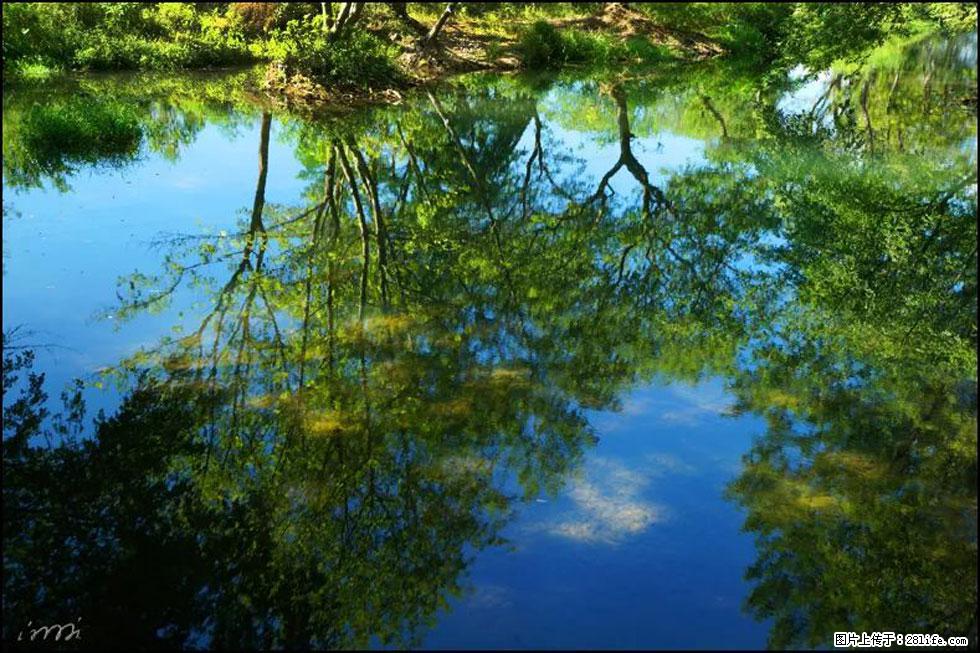 【春天，广西桂林灌阳县向您发出邀请！】熊家寨湿地公园 - 游山玩水 - 新余生活社区 - 新余28生活网 xinyu.28life.net
