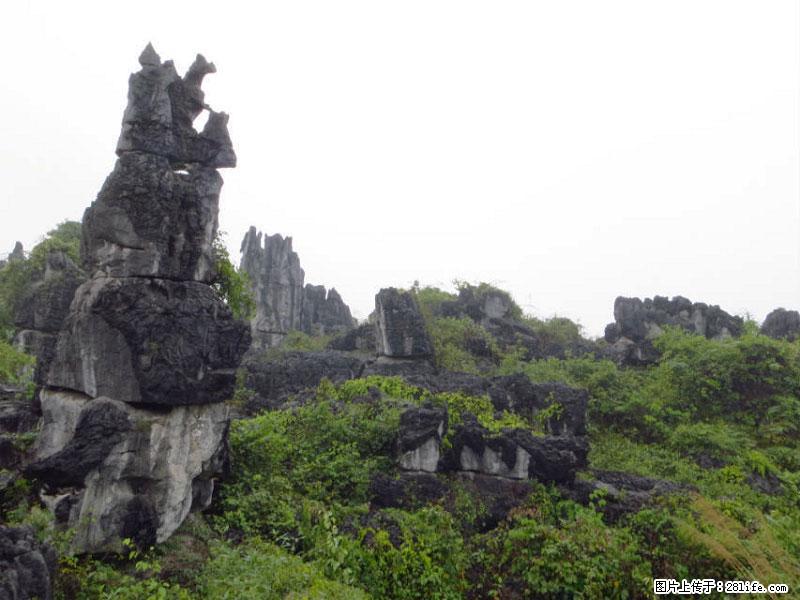 桂林旅游名城景点：灌阳文市石林 - 游山玩水 - 新余生活社区 - 新余28生活网 xinyu.28life.net