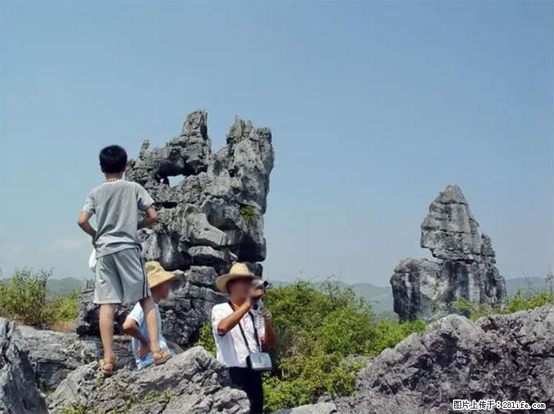 桂林旅游名城景点：灌阳文市石林 - 游山玩水 - 新余生活社区 - 新余28生活网 xinyu.28life.net