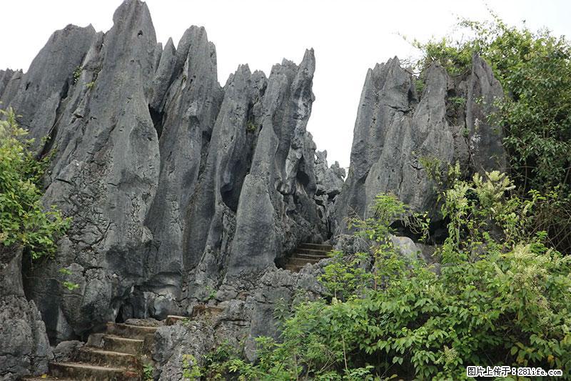 桂林旅游名城景点：灌阳文市石林 - 游山玩水 - 新余生活社区 - 新余28生活网 xinyu.28life.net