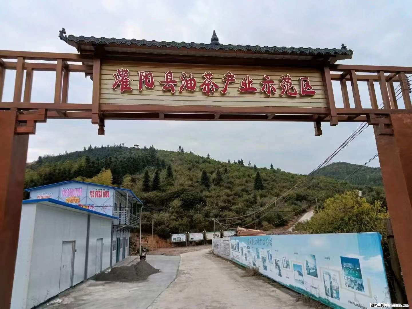 【灌阳县油茶产业示范区】一个有着充实的精神生活的人，对待身外之物自会有一种淡泊的态度 - 美食天地 - 新余生活社区 - 新余28生活网 xinyu.28life.net