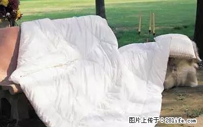 被子有异味？只要这样做，比晒太阳还强100倍！ - 家居生活 - 新余生活社区 - 新余28生活网 xinyu.28life.net