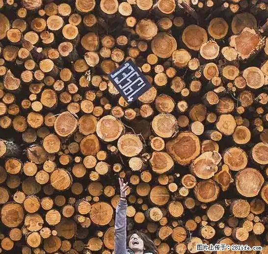 辞掉工作周游世界？现在他们在洗厕所…… - 游山玩水 - 新余生活社区 - 新余28生活网 xinyu.28life.net
