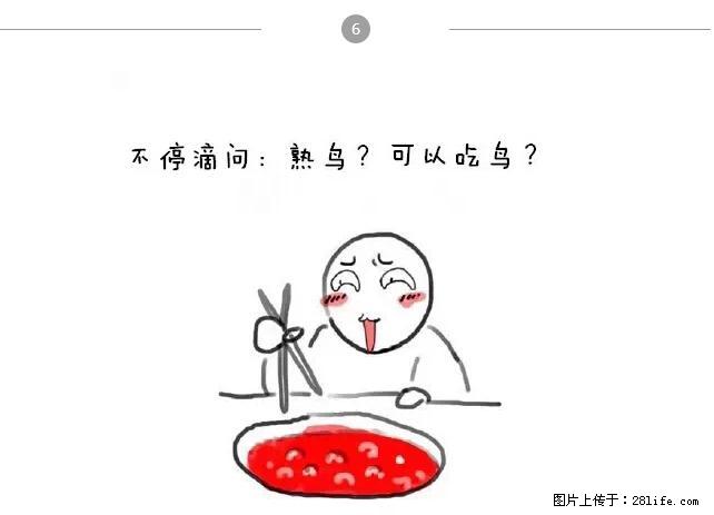 千万不要和这9种哈卵一起吃火锅！ - 美食天地 - 新余生活社区 - 新余28生活网 xinyu.28life.net
