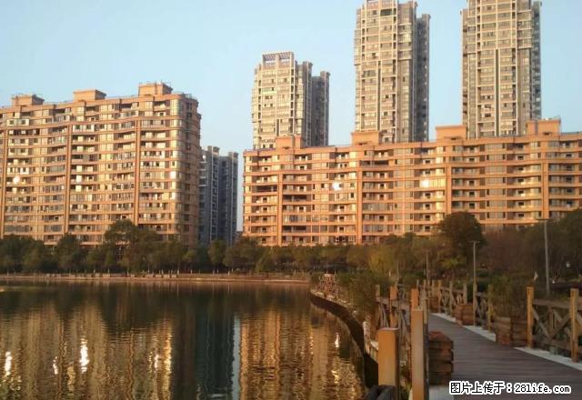 北湖星城小区,高层电梯楼32楼,湖景房 - 房屋出租 - 房屋租售 - 新余分类信息 - 新余28生活网 xinyu.28life.net