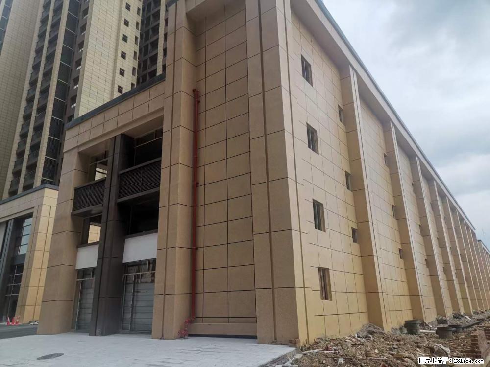 【广西三象建筑安装工程有限公司】外墙涂料工程 - 新手上路 - 新余生活社区 - 新余28生活网 xinyu.28life.net