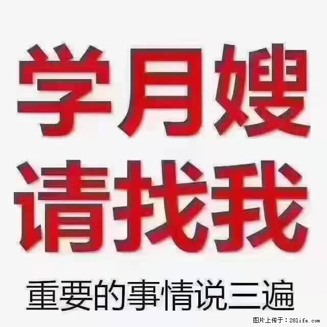 【招聘】月嫂，上海徐汇区 - 职场交流 - 新余生活社区 - 新余28生活网 xinyu.28life.net