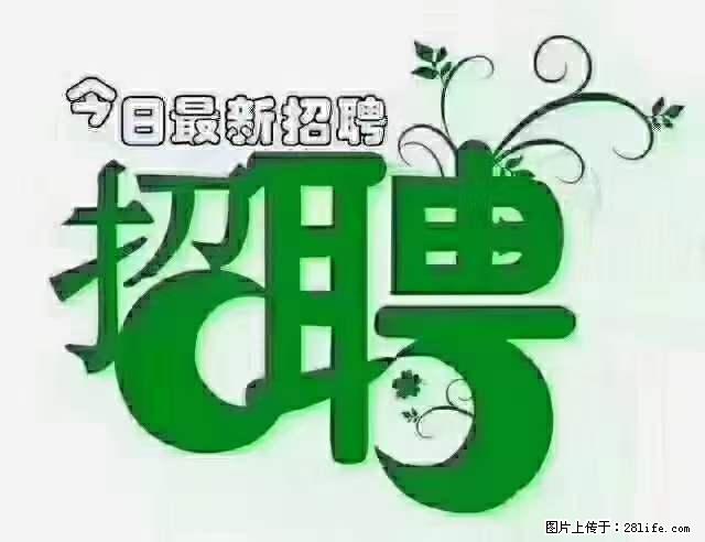 上海隔离酒店招人：55岁以下 男女不限 - 职场交流 - 新余生活社区 - 新余28生活网 xinyu.28life.net