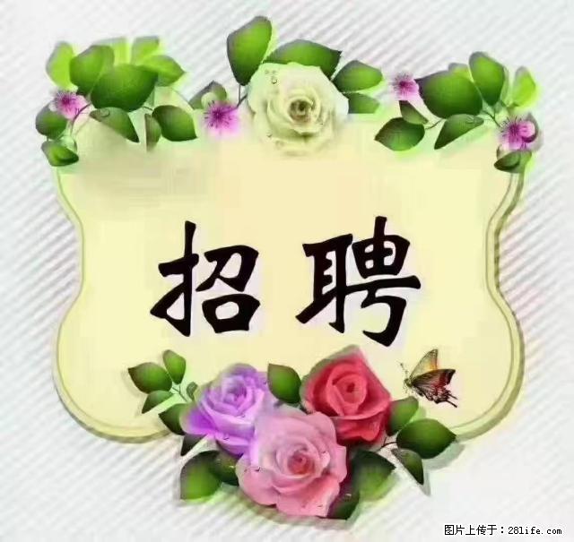 【招聘】住家育儿嫂，上户日期：4月4日，工作地址：上海 黄浦区 - 职场交流 - 新余生活社区 - 新余28生活网 xinyu.28life.net