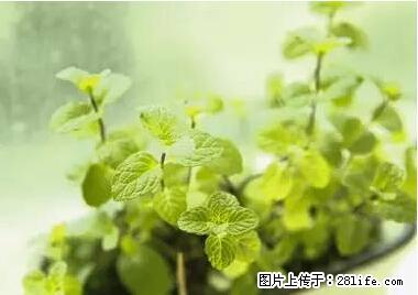 晕车、脚气、牙齿变黄、皮肤粗糙？学会这些三分钟搞定！ - 新余生活资讯 - 新余28生活网 xinyu.28life.net