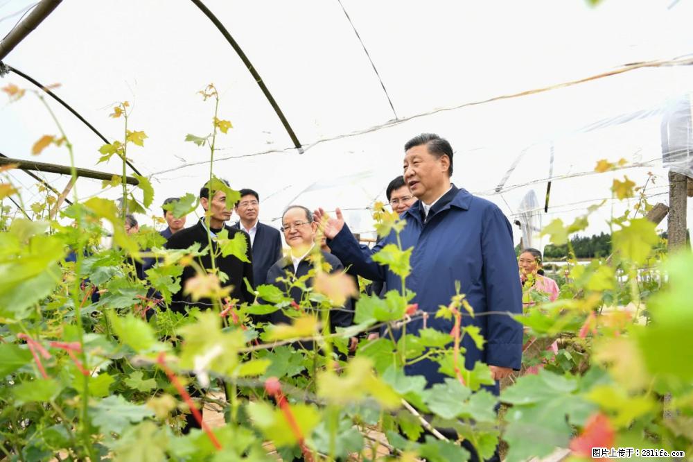 习近平赴广西考察调研 - 新余生活资讯 - 新余28生活网 xinyu.28life.net