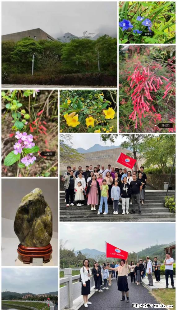 “粤灌文化 美好生活”油茶文化主题活动在广东深圳成功举办 - 新余生活资讯 - 新余28生活网 xinyu.28life.net