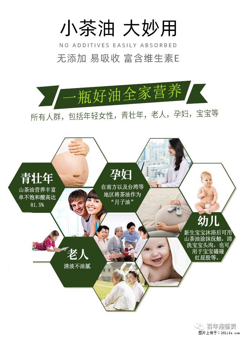 世界没有真相，只有认知，最好的食用油是中国的山茶油！ - 新余生活资讯 - 新余28生活网 xinyu.28life.net