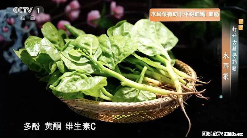 比牛奶补钙还厉害！凉血解毒、稳血糖...这菜冬天必吃，很多人却当草 - 新余生活资讯 - 新余28生活网 xinyu.28life.net